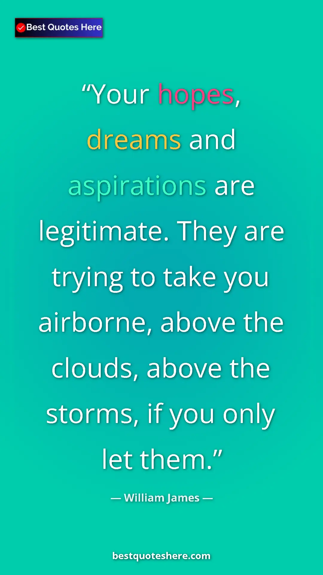 Pinterest quote poster by William James: "Your hopes, dreams and aspirations are legitimate. They are..."