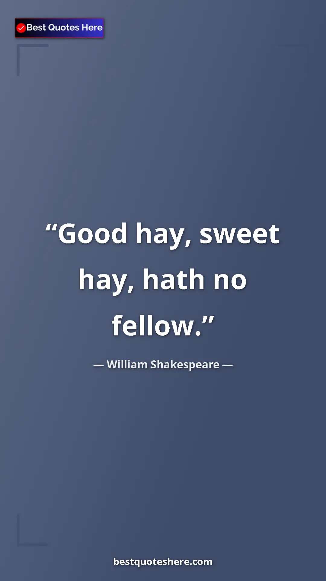 Pinterest quote poster by William Shakespeare: "Good hay, sweet hay, hath no fellow."