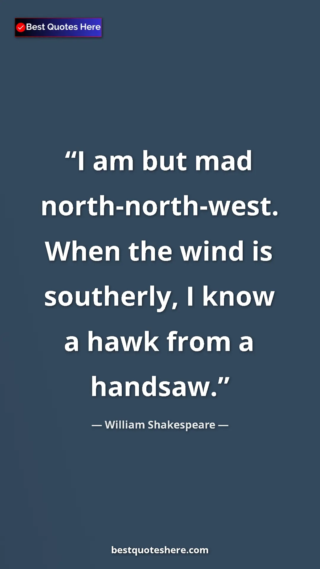 Pinterest quote poster by William Shakespeare: "I am but mad north-north-west. When the wind is southerly,..."
