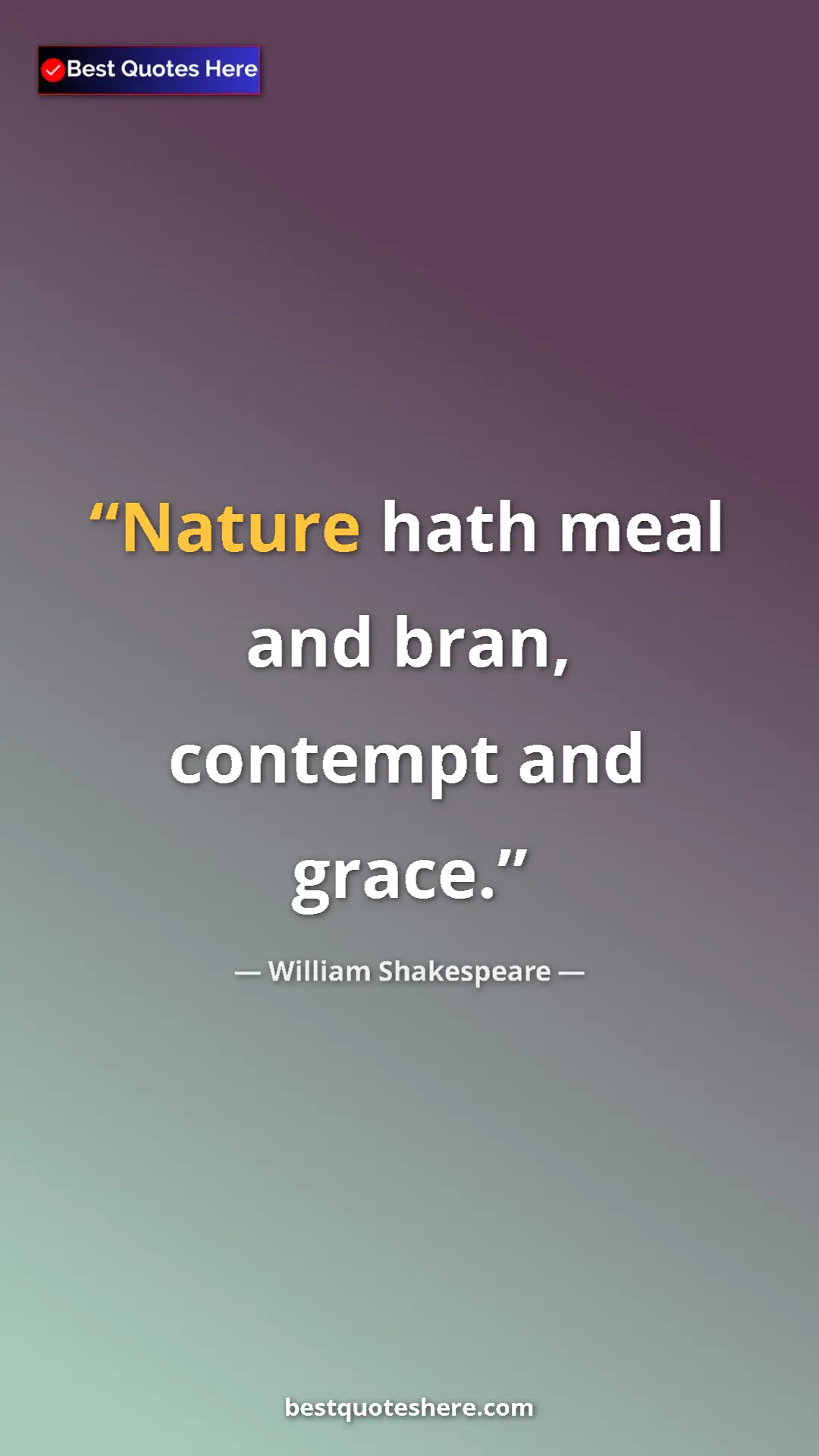 Pinterest quote poster by William Shakespeare: "Nature hath meal and bran, contempt and grace."