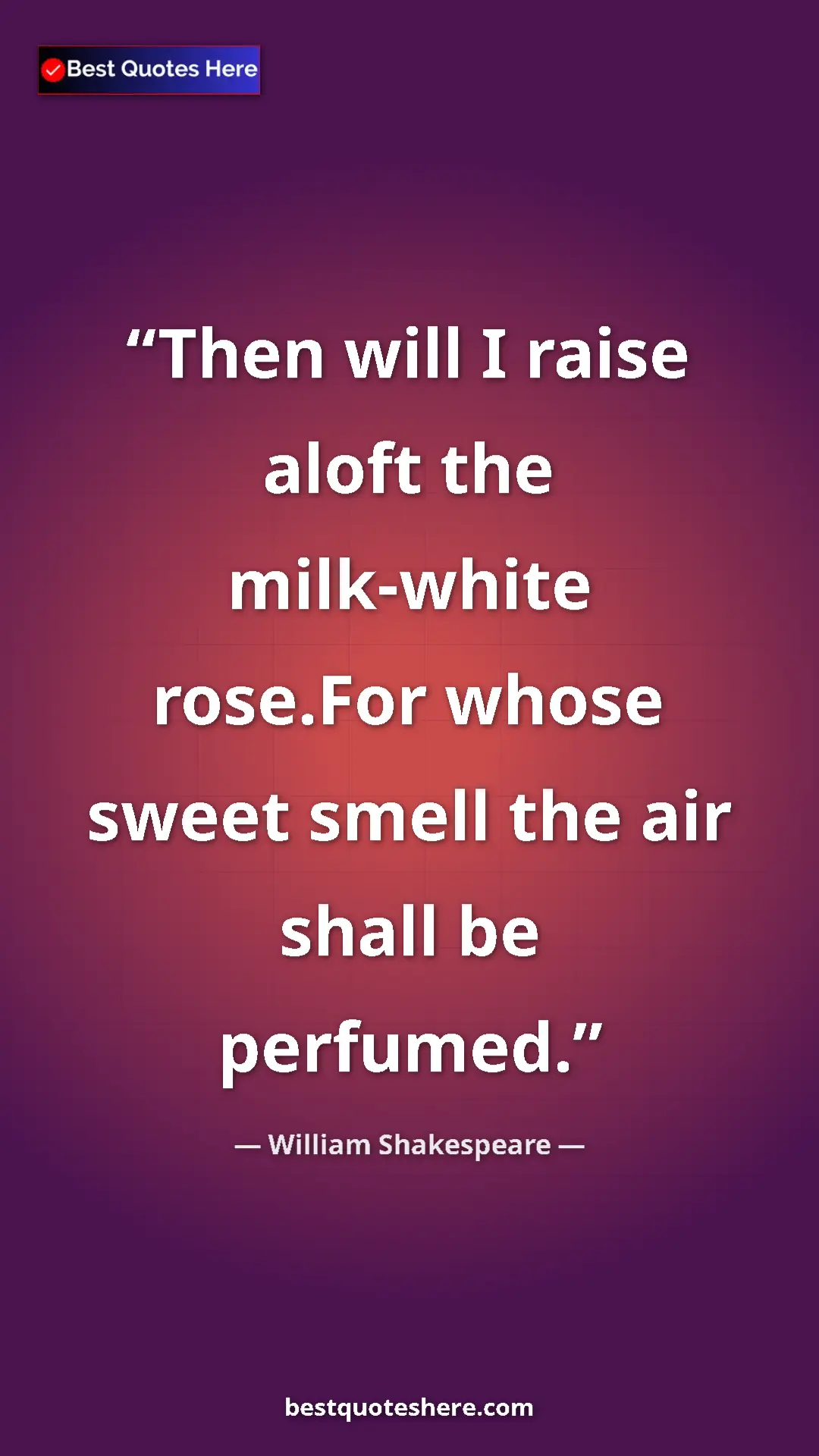 Pinterest quote poster by William Shakespeare: "Then will I raise aloft the milk-white rose.For whose sweet..."