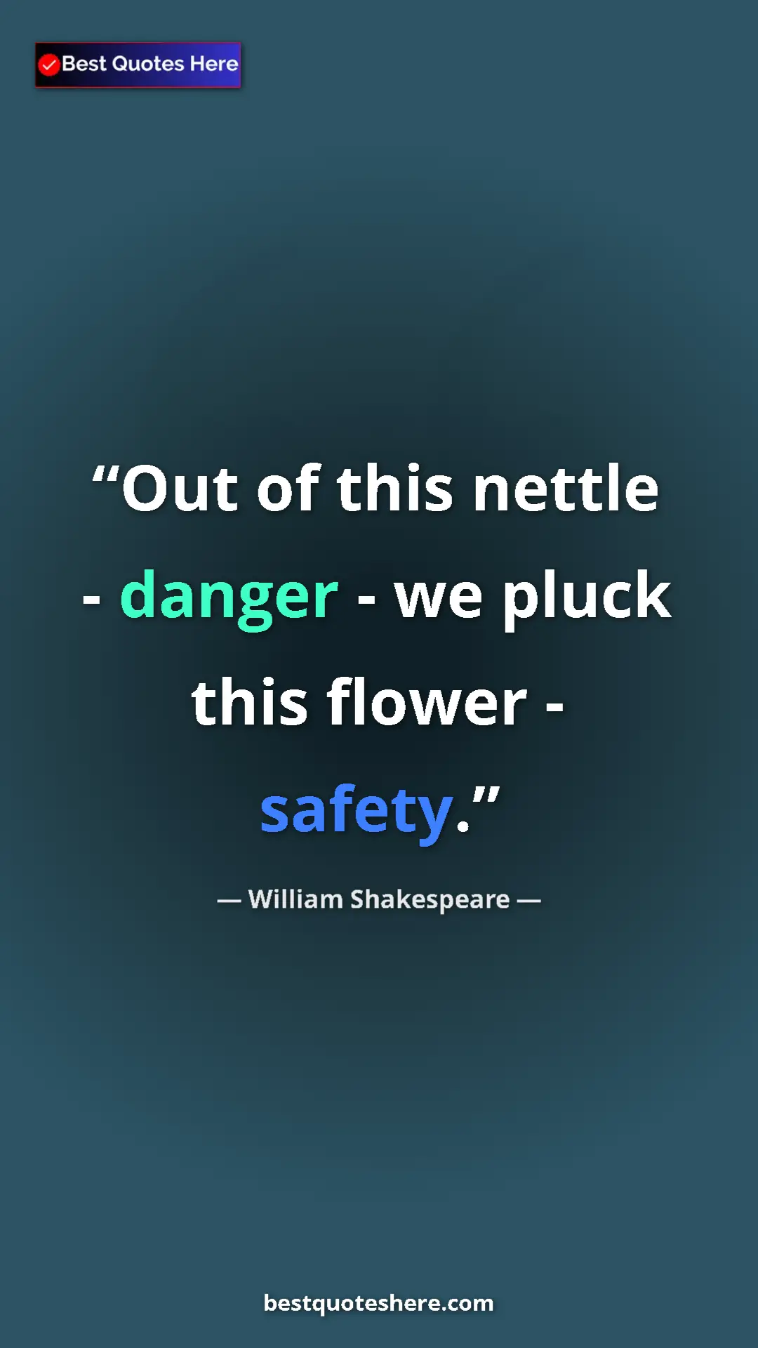 Pinterest quote poster by William Shakespeare: "Out of this nettle - danger - we pluck this flower - safety."