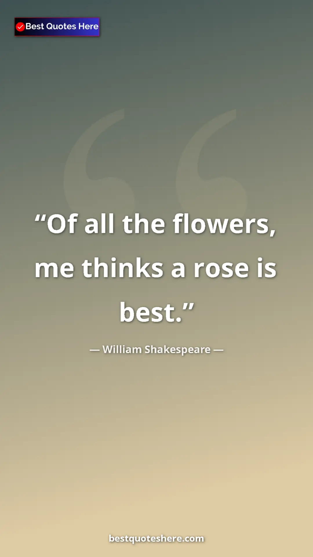 Pinterest quote poster by William Shakespeare: "Of all the flowers, me thinks a rose is best."
