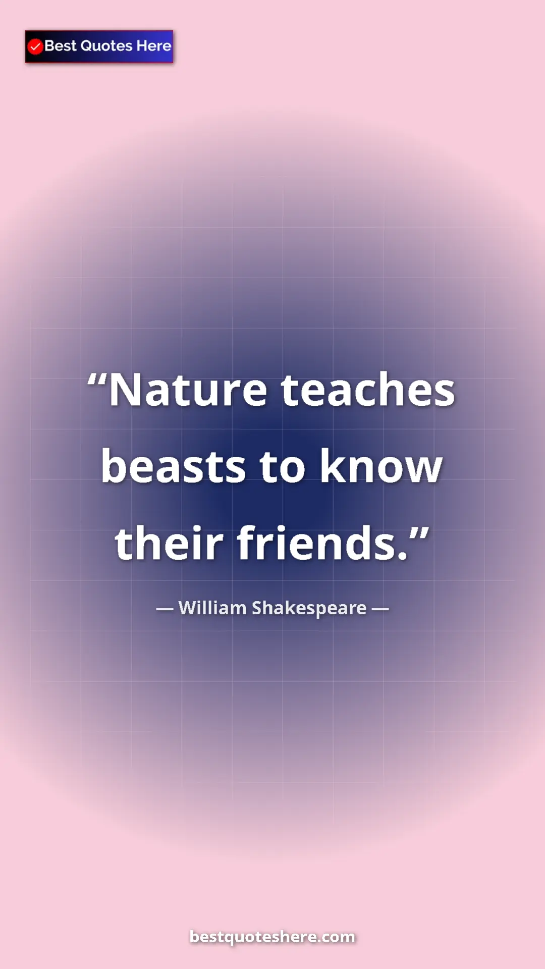 Pinterest quote poster by William Shakespeare: "Nature teaches beasts to know their friends."