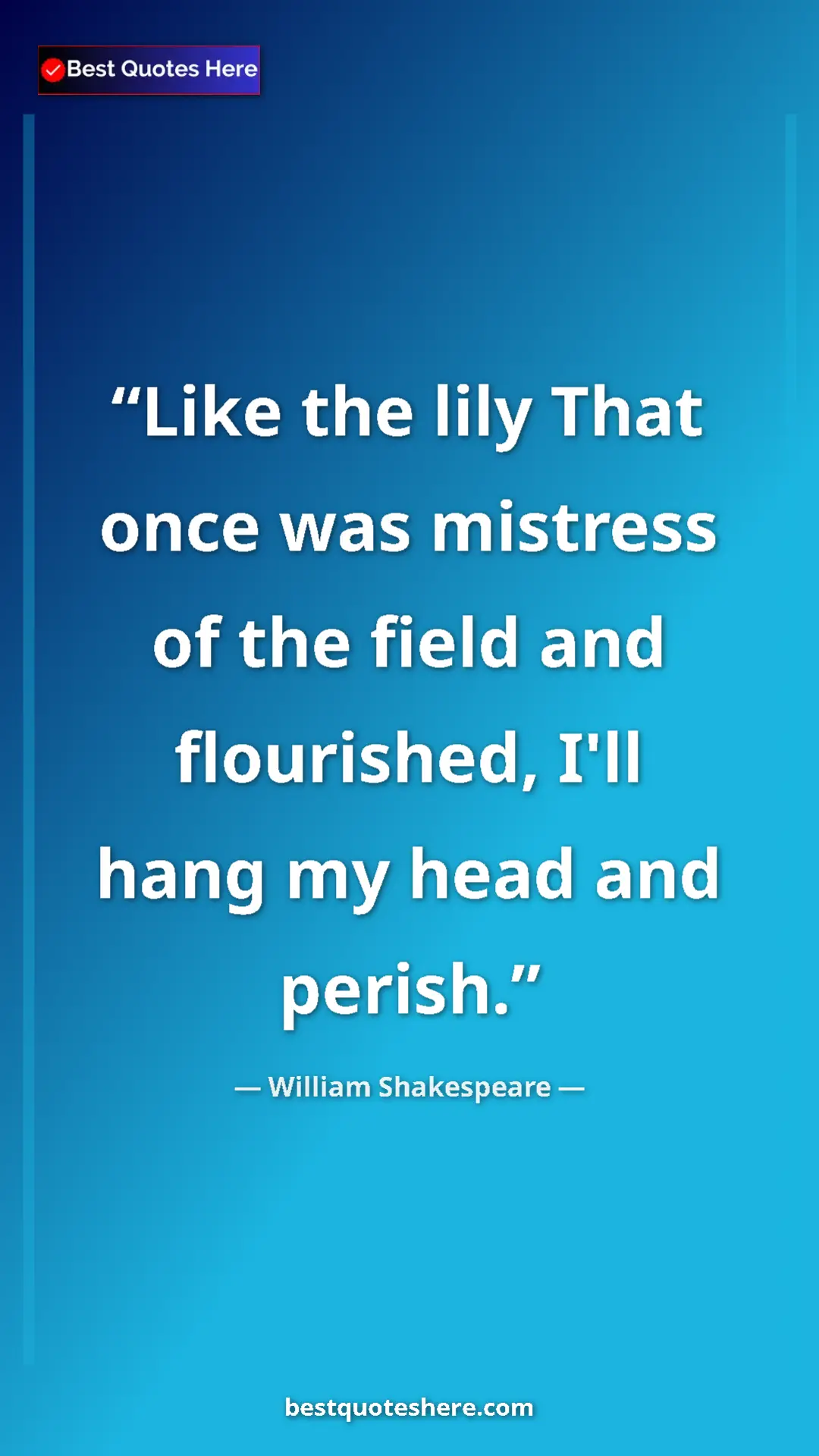 Pinterest quote poster by William Shakespeare: "Like the lily That once was mistress of the field and..."