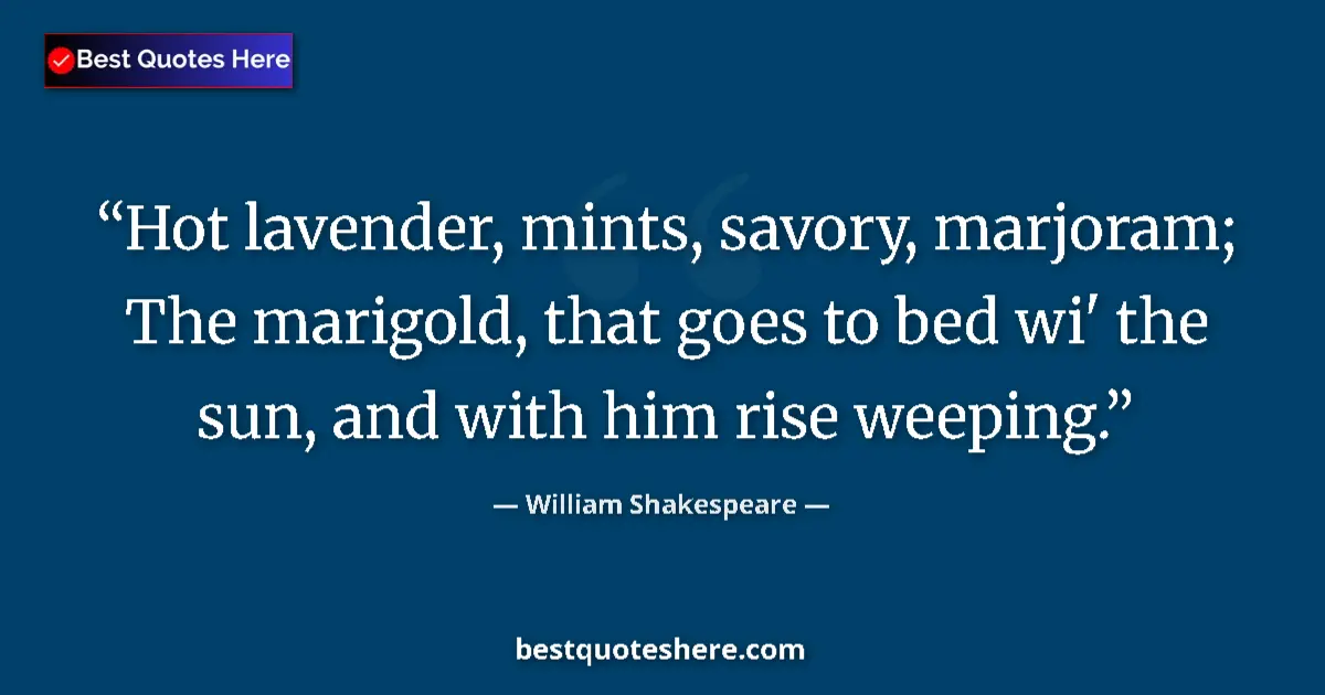 Quote by William Shakespeare: Hot lavender, mints, savory, marjoram; The marigold, that goes to bed wi' the sun, and with him rise...