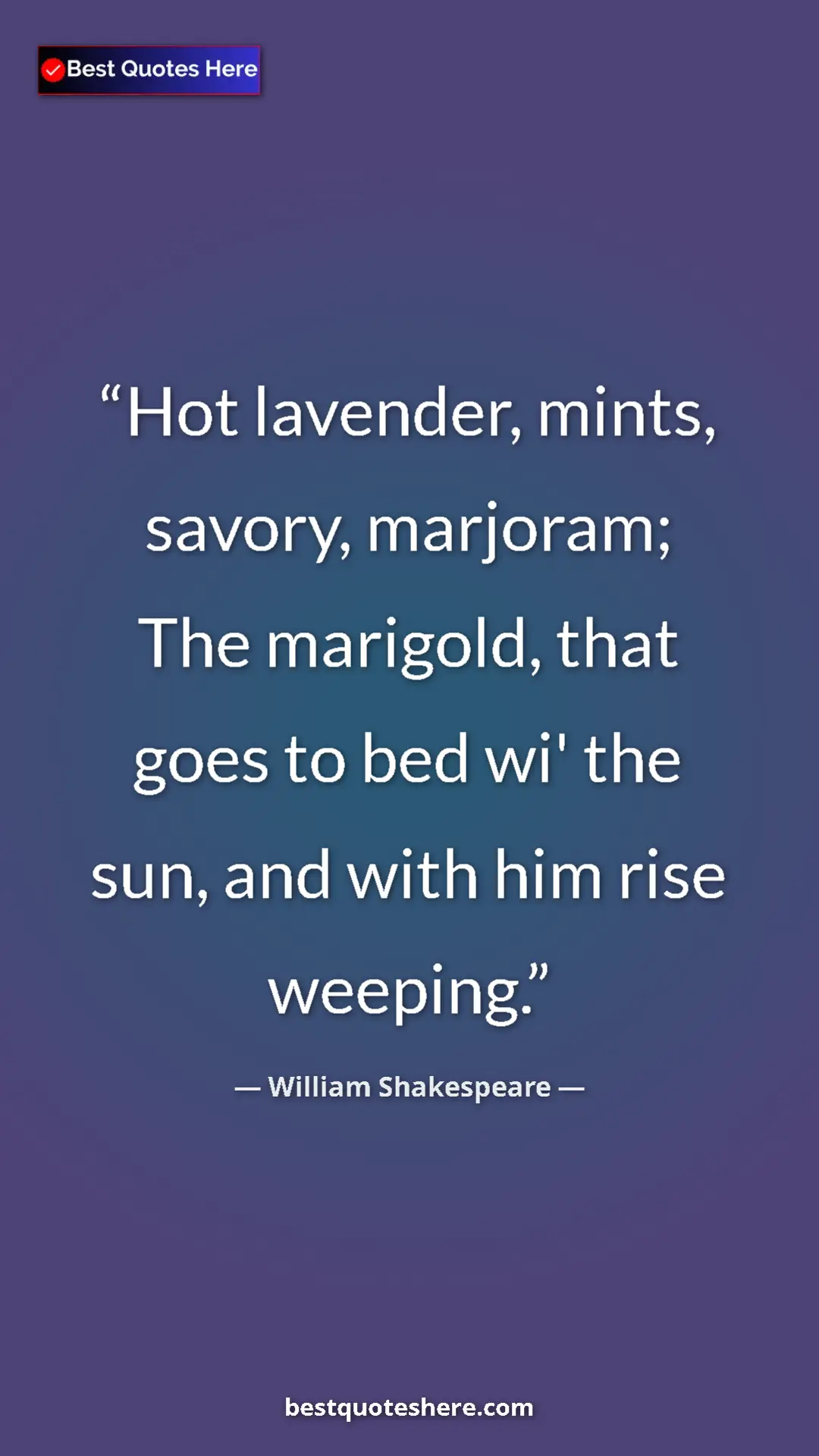 Pinterest quote poster by William Shakespeare: "Hot lavender, mints, savory, marjoram; The marigold, that..."