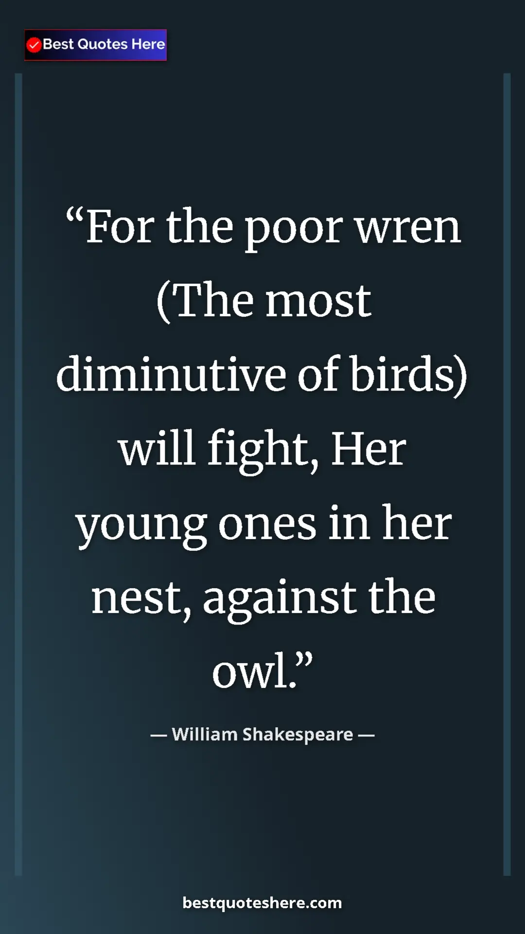 Pinterest quote poster by William Shakespeare: "For the poor wren (The most diminutive of birds) will..."