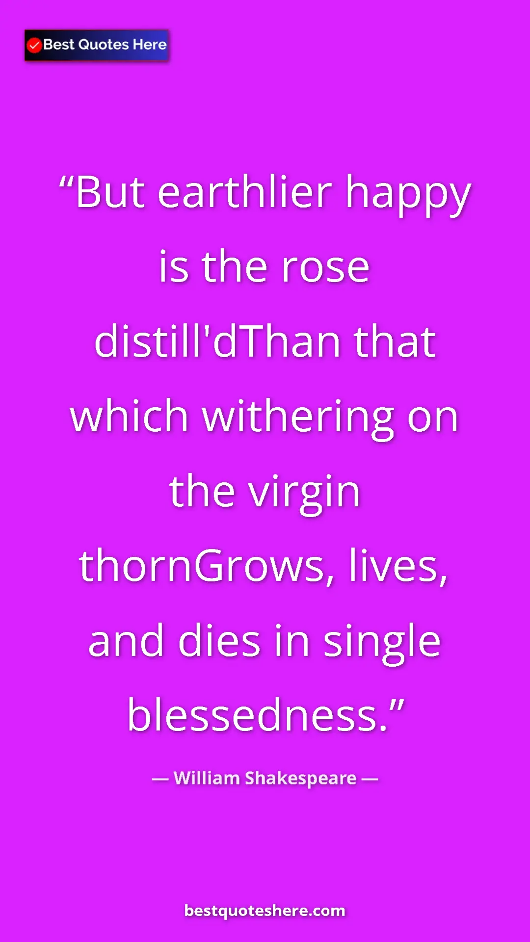 Pinterest quote poster by William Shakespeare: "But earthlier happy is the rose distill'dThan that which wit"
