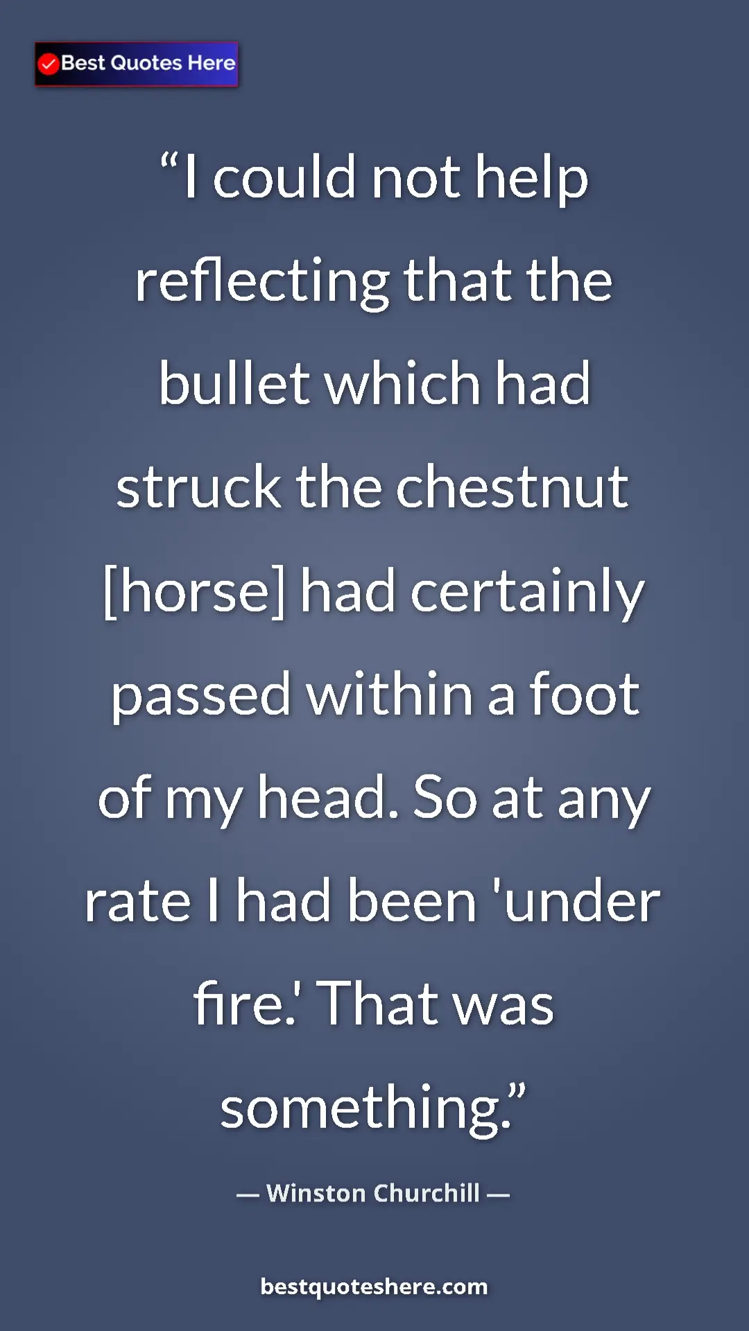 Pinterest quote poster by Winston Churchill: "I could not help reflecting that the bullet which had..."