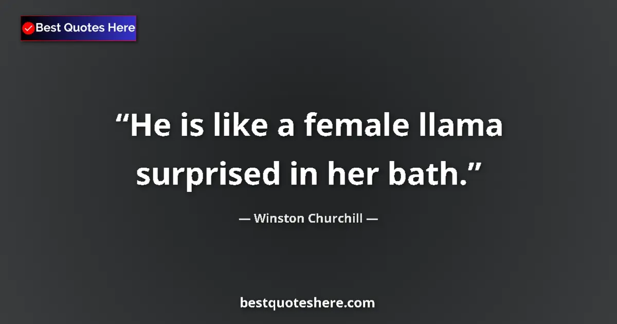 Quote by Winston Churchill: He is like a female llama surprised in her bath....