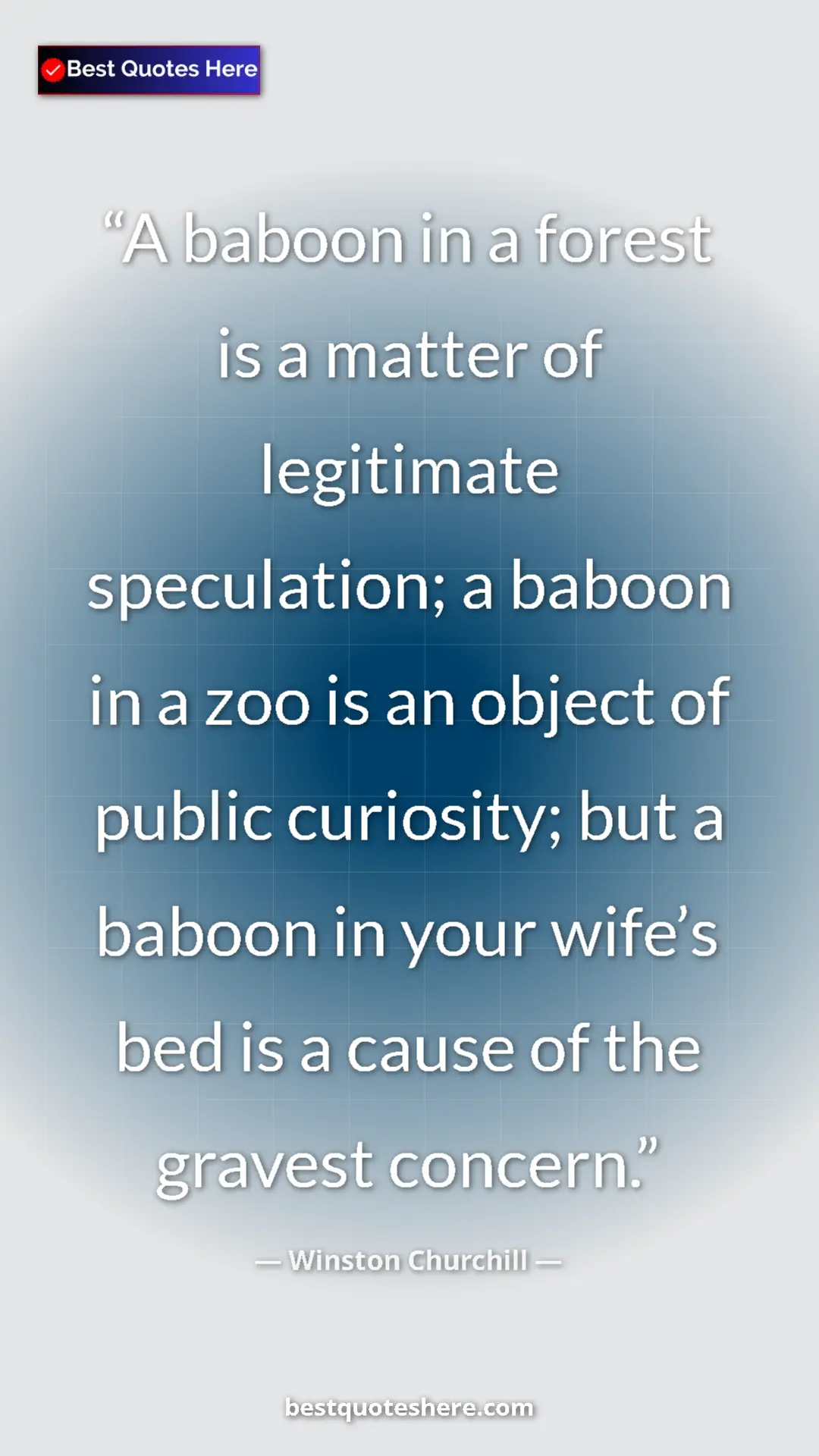 Winston Churchill Quote Card: "A baboon in a forest is a matter of legitimate speculation;..." Pinterest quote poster by Winston Churchill: "A baboon in a forest is a matter of legitimate speculation;..."
