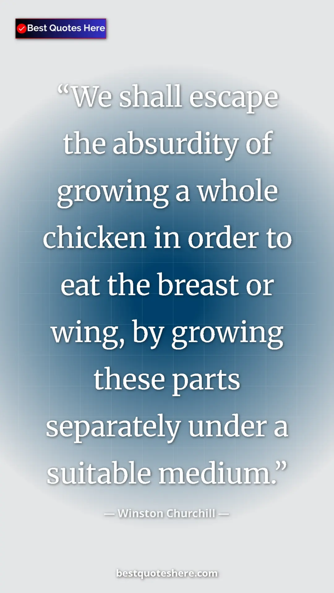 Pinterest quote poster by Winston Churchill: "We shall escape the absurdity of growing a whole chicken in..."