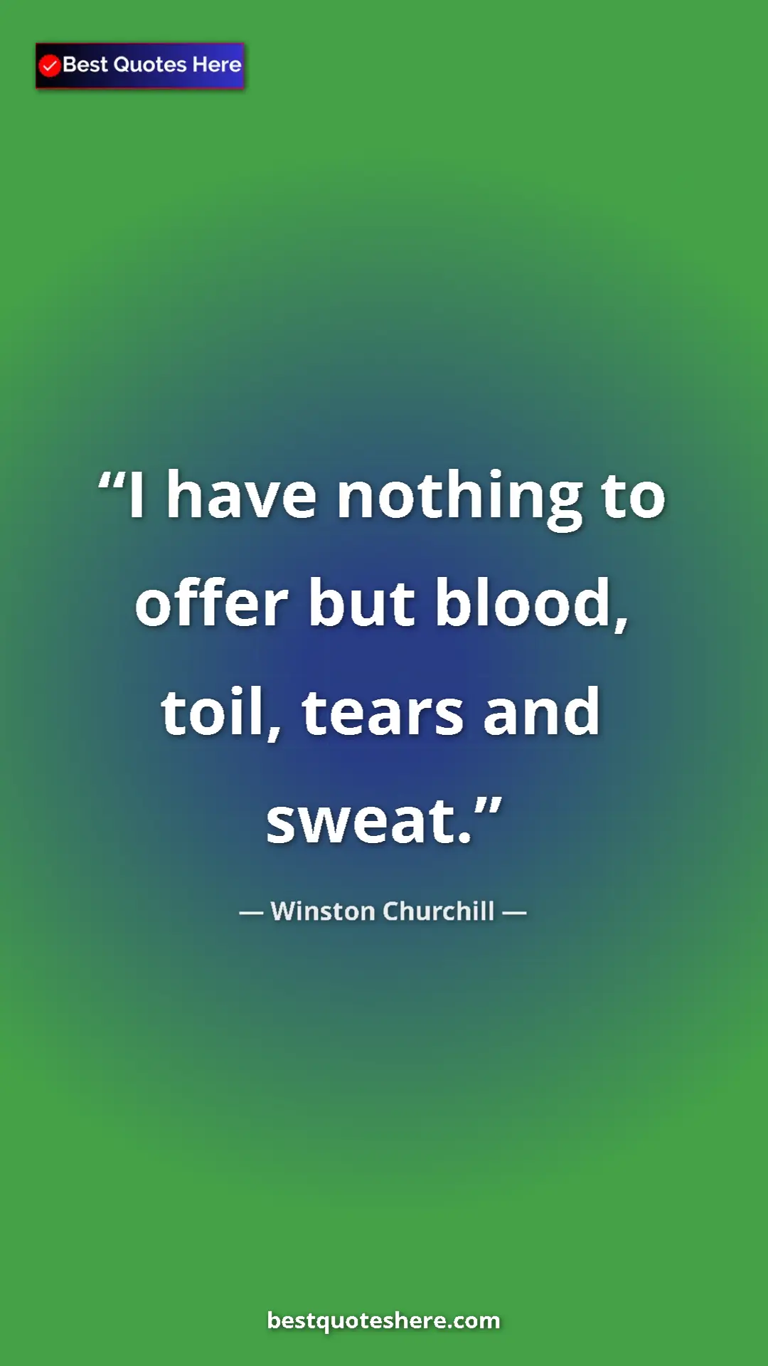 Pinterest quote poster by Winston Churchill: "I have nothing to offer but blood, toil, tears and sweat."