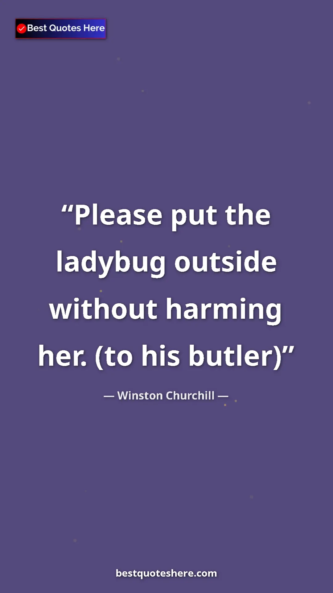 Winston Churchill Quote Card: "Please put the ladybug outside without harming her. (to his..." Pinterest quote poster by Winston Churchill: "Please put the ladybug outside without harming her. (to his..."