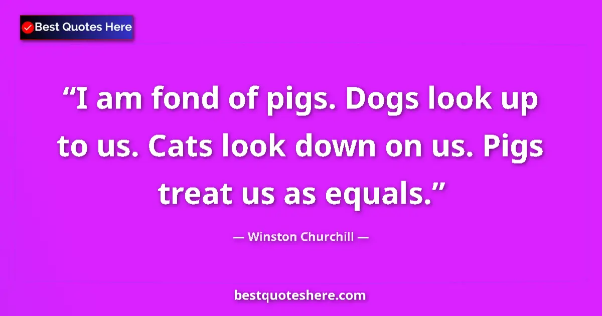 Quote by Winston Churchill: I am fond of pigs. Dogs look up to us. Cats look down on us. Pigs treat us as equals....