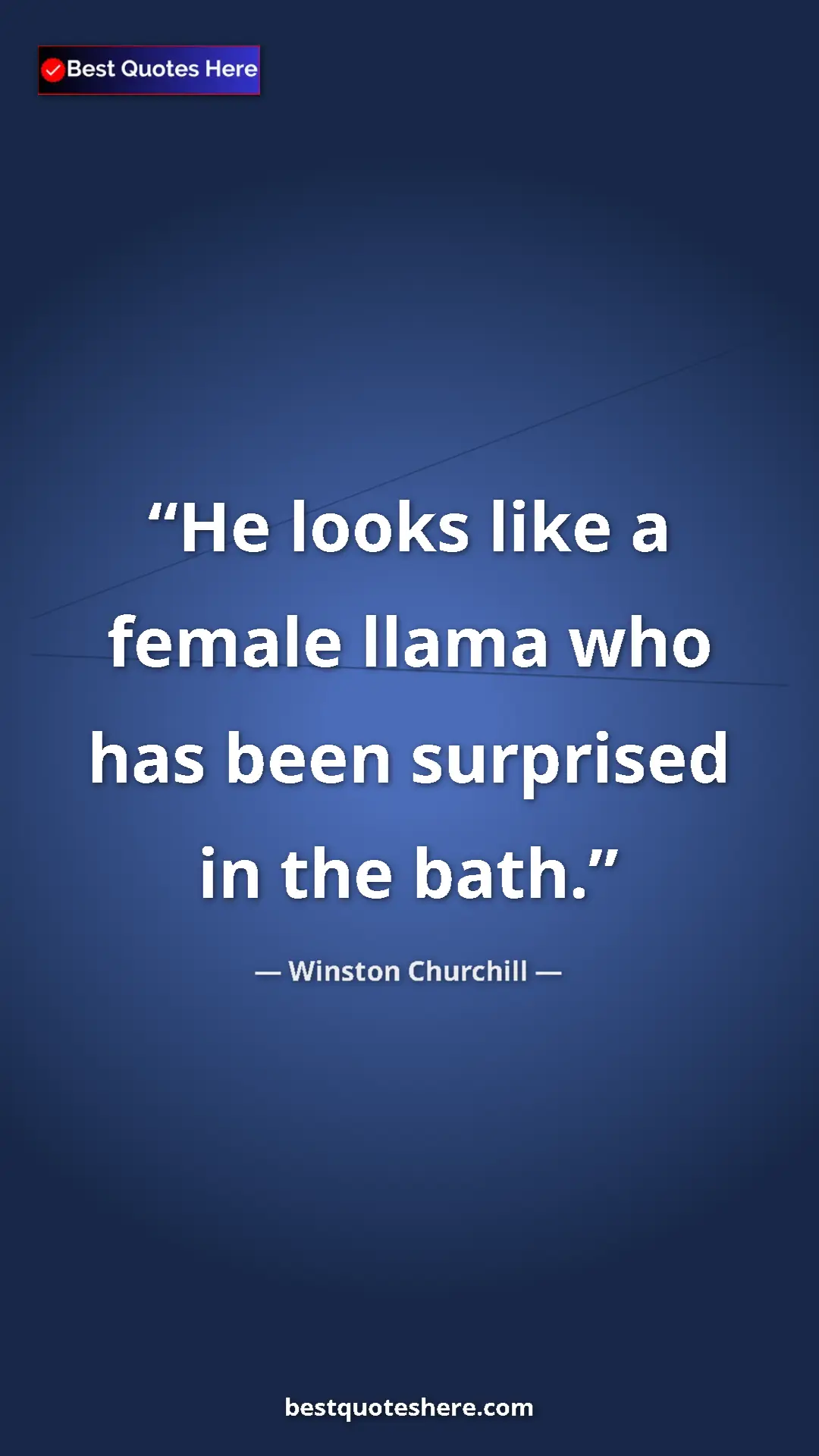 Pinterest quote poster by Winston Churchill: "He looks like a female llama who has been surprised in the..."