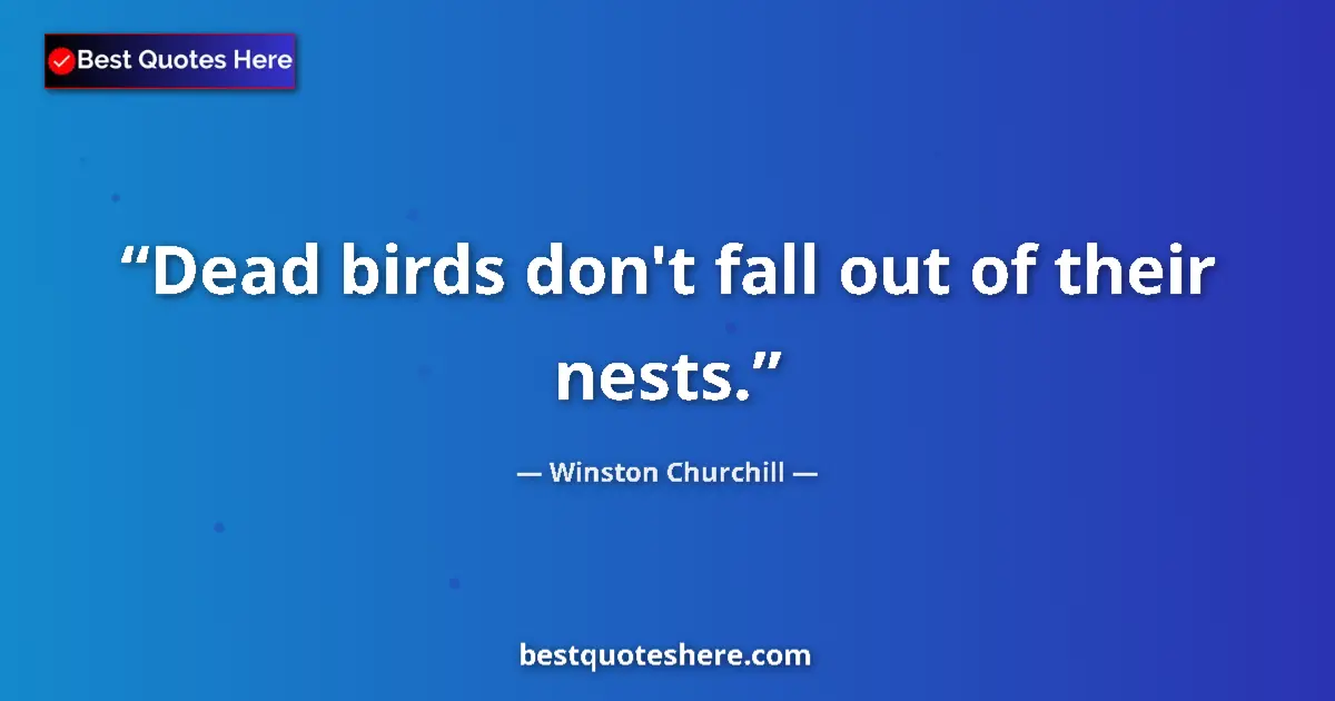 Quote by Winston Churchill: Dead birds don't fall out of their nests....