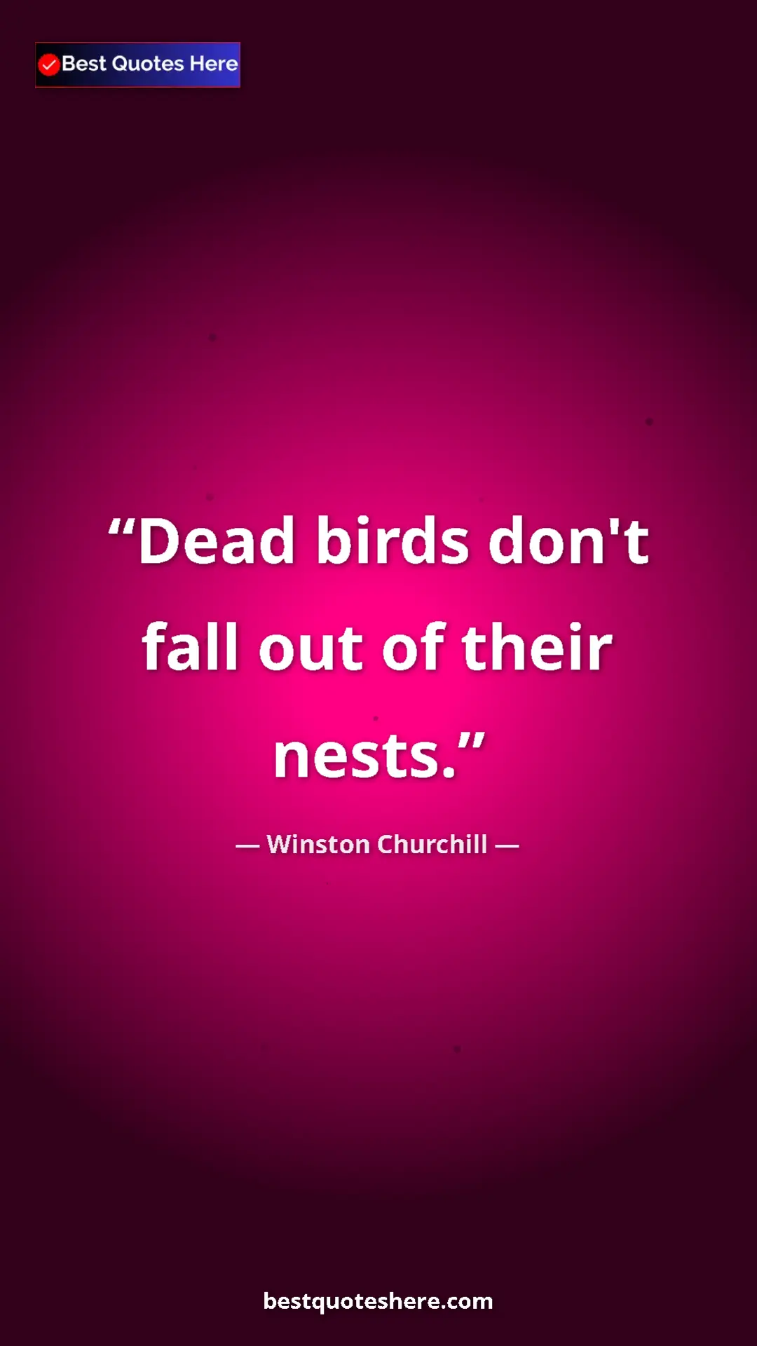Pinterest quote poster by Winston Churchill: "Dead birds don't fall out of their nests."