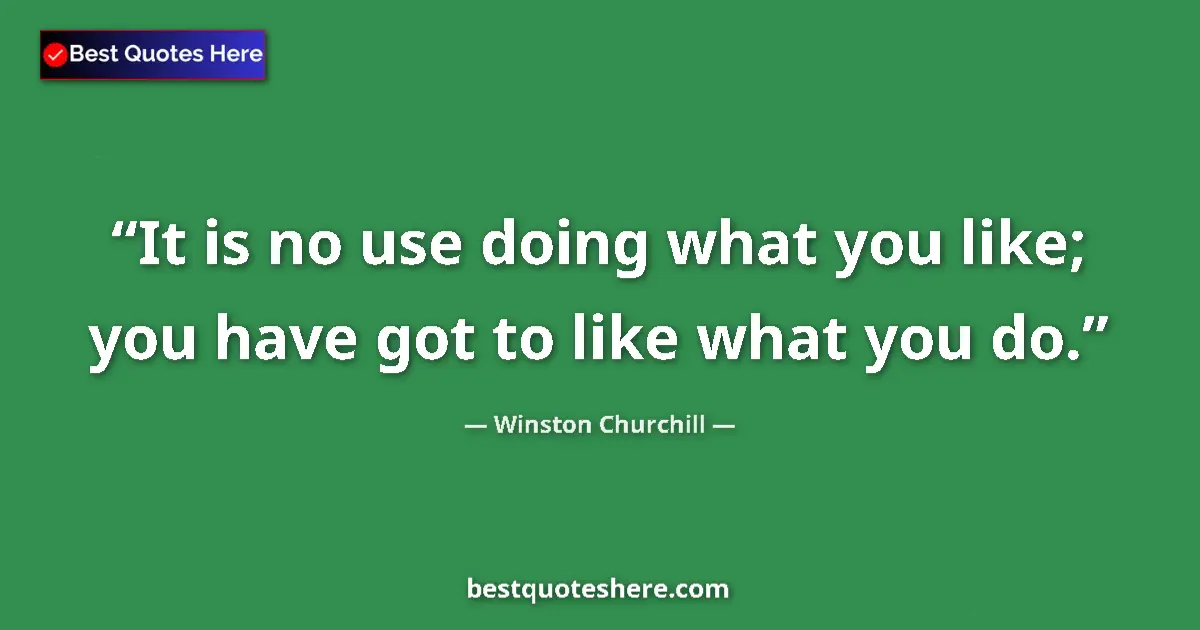 Quote by Winston Churchill: It is no use doing what you like; you have got to like what you do....