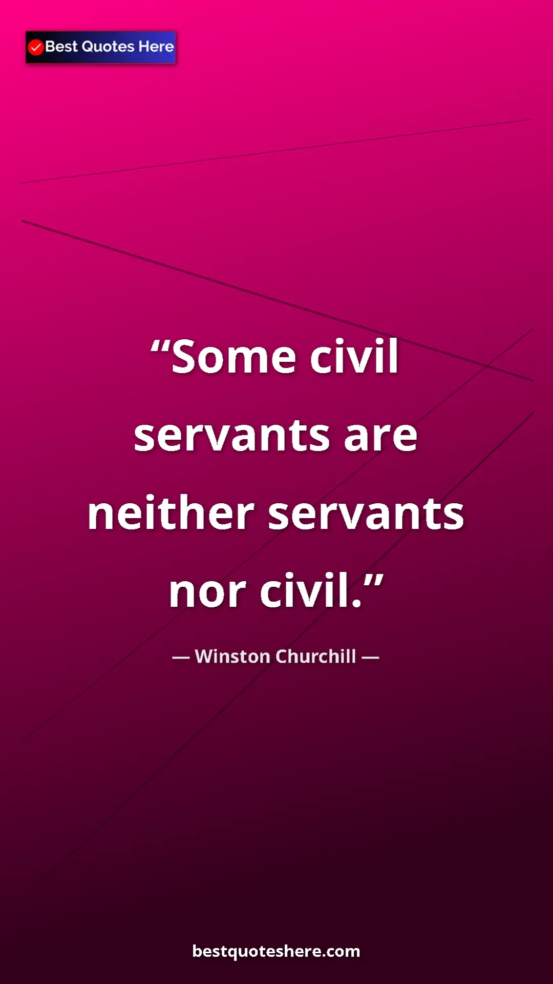 Pinterest quote poster by Winston Churchill: "Some civil servants are neither servants nor civil."