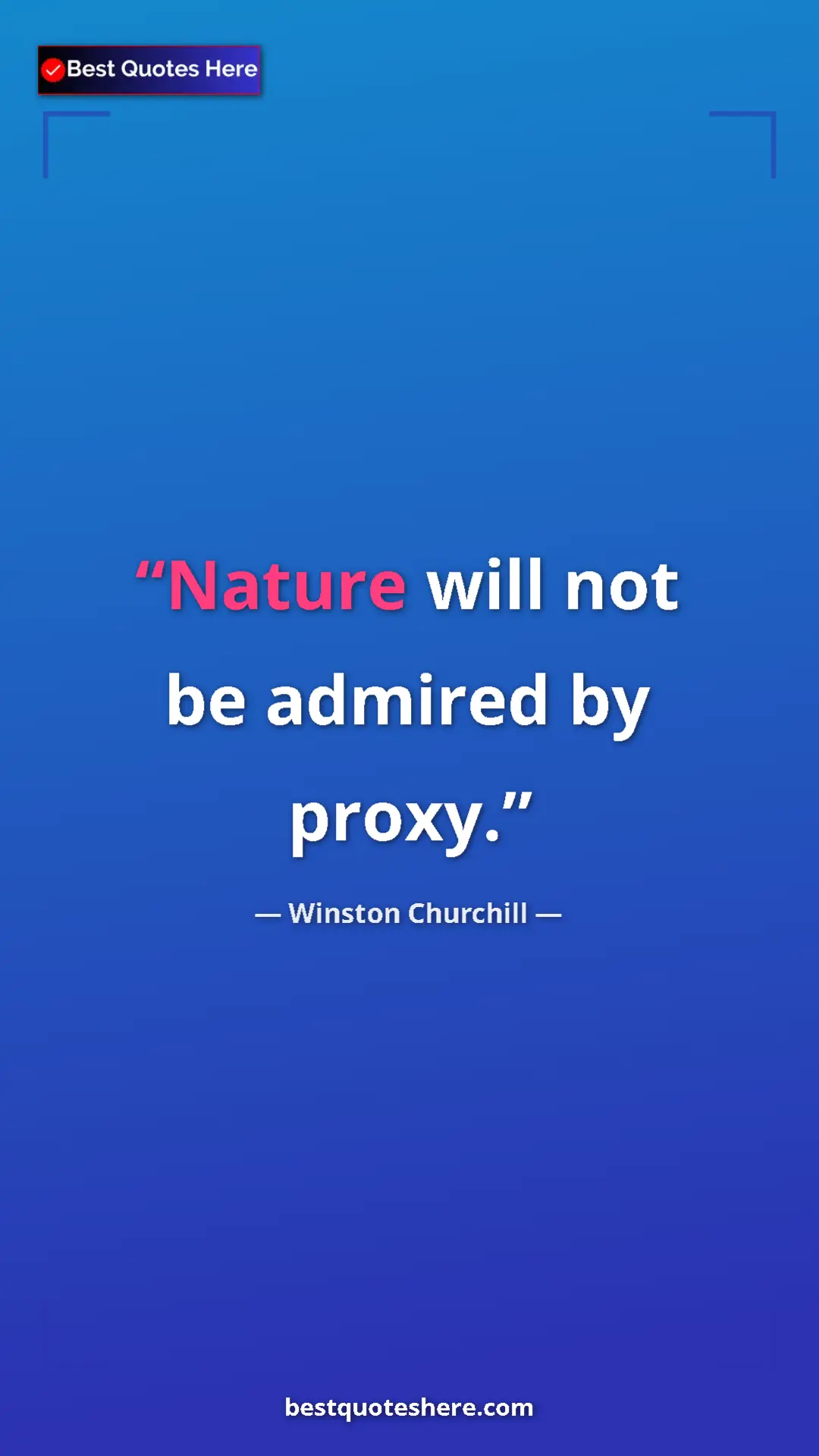 Winston Churchill Quote Card: "Nature will not be admired by proxy." Pinterest quote poster by Winston Churchill: "Nature will not be admired by proxy."