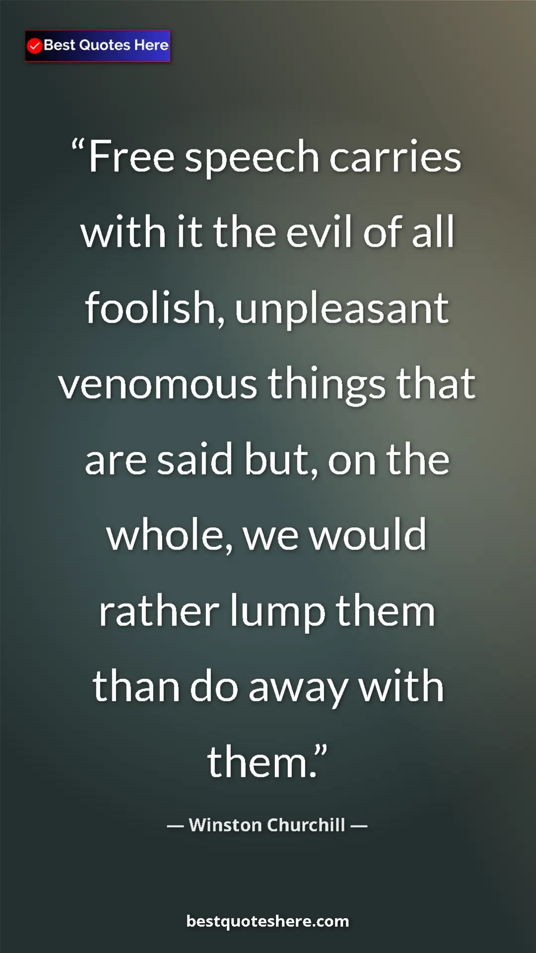 Pinterest quote poster by Winston Churchill: "Free speech carries with it the evil of all foolish,..."