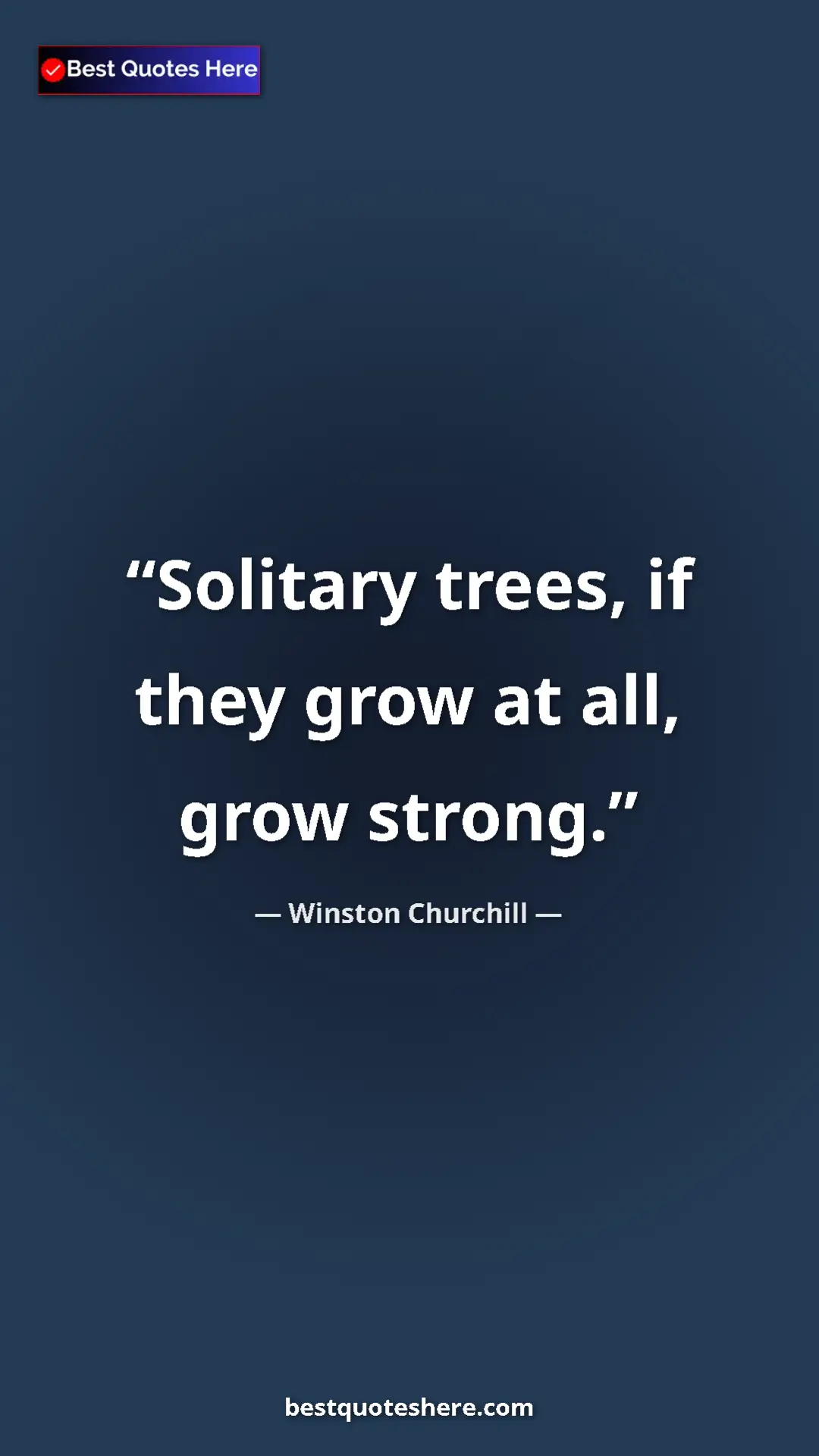 Winston Churchill Quote Card: "Solitary trees, if they grow at all, grow strong." Pinterest quote poster by Winston Churchill: "Solitary trees, if they grow at all, grow strong."