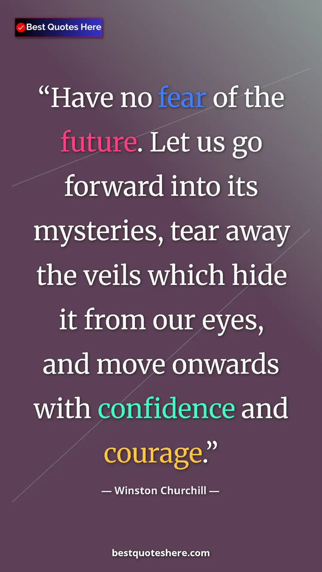 Pinterest quote poster by Winston Churchill: "Have no fear of the future. Let us go forward into its..."