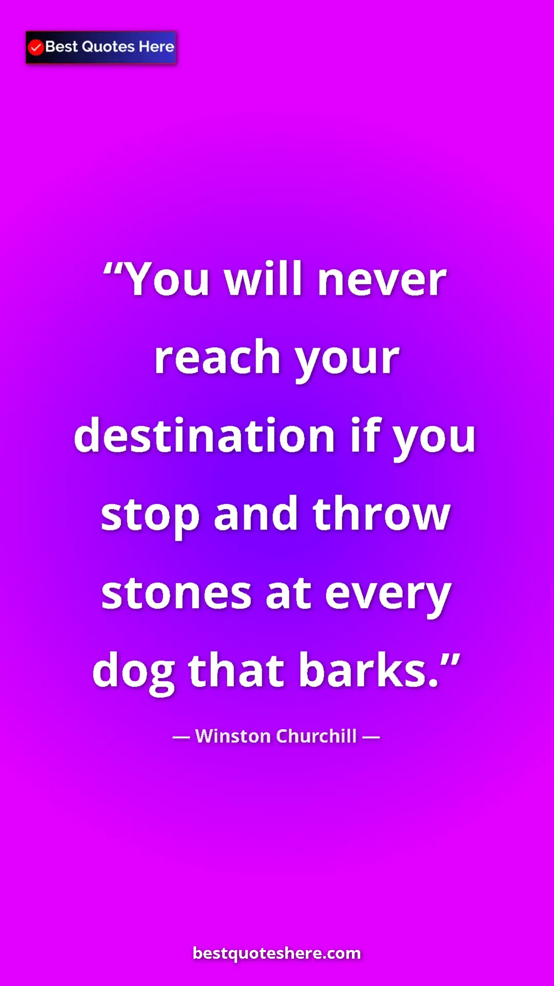 Pinterest quote poster by Winston Churchill: "You will never reach your destination if you stop and throw..."