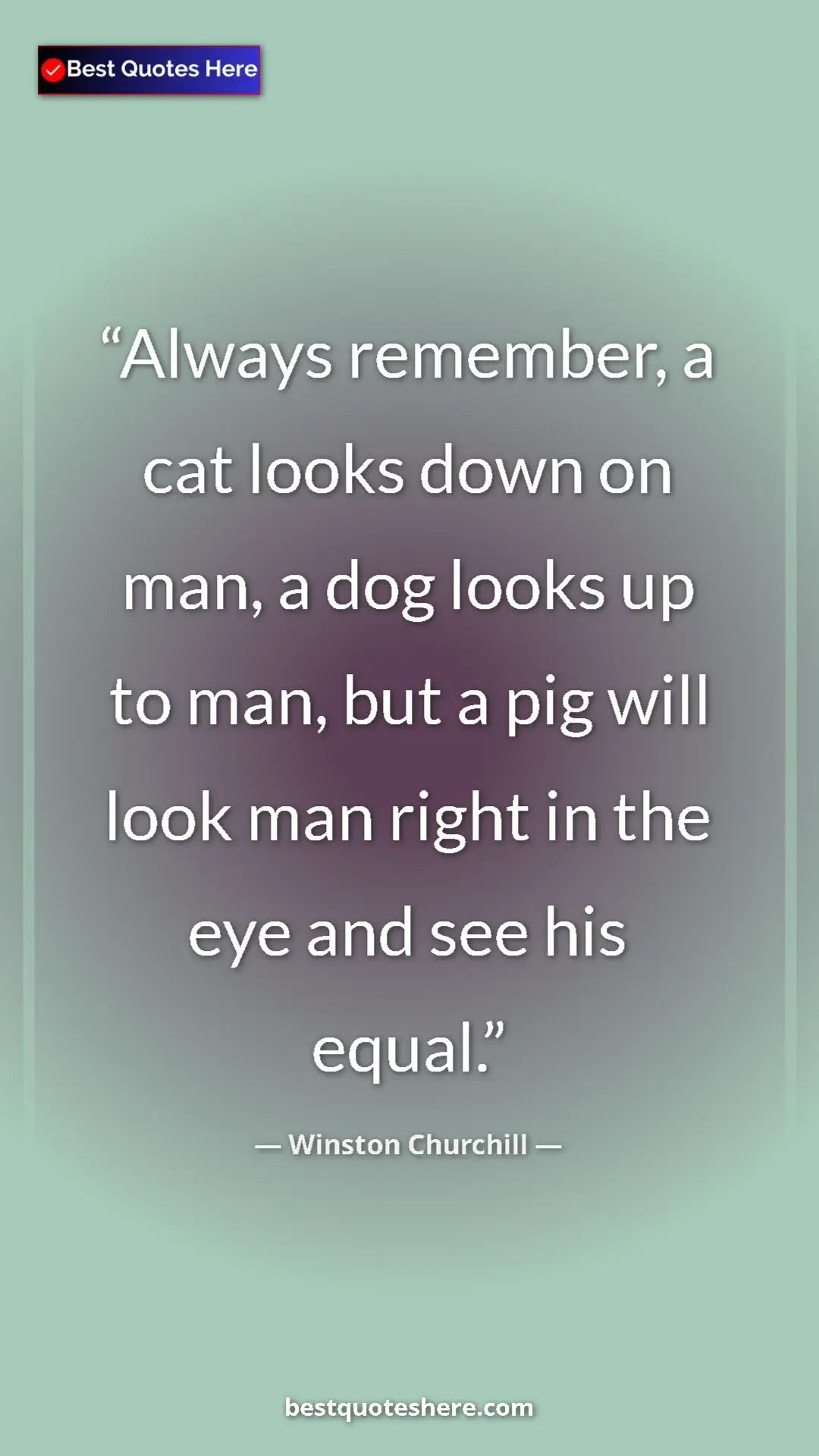 Winston Churchill Quote Card: "Always remember, a cat looks down on man, a dog looks up to..." Pinterest quote poster by Winston Churchill: "Always remember, a cat looks down on man, a dog looks up to..."