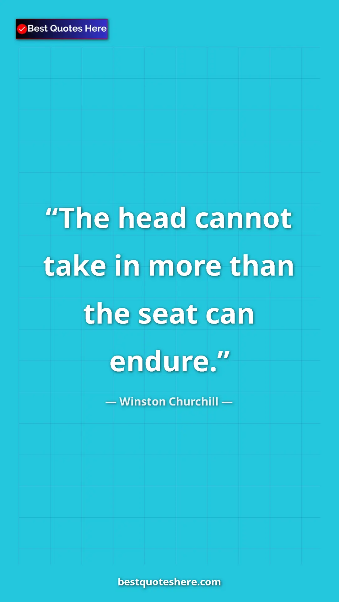 Pinterest quote poster by Winston Churchill: "The head cannot take in more than the seat can endure."