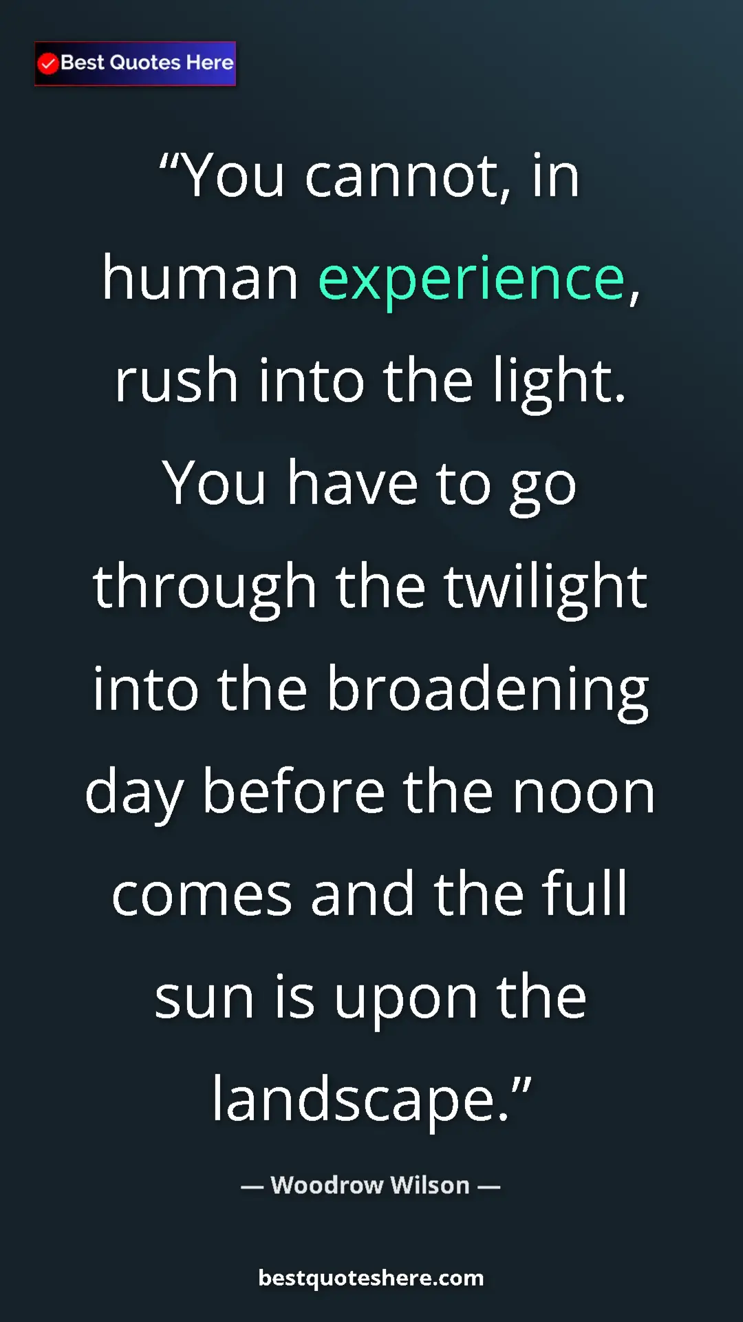 Pinterest quote poster by Woodrow Wilson: "You cannot, in human experience, rush into the light. You..."
