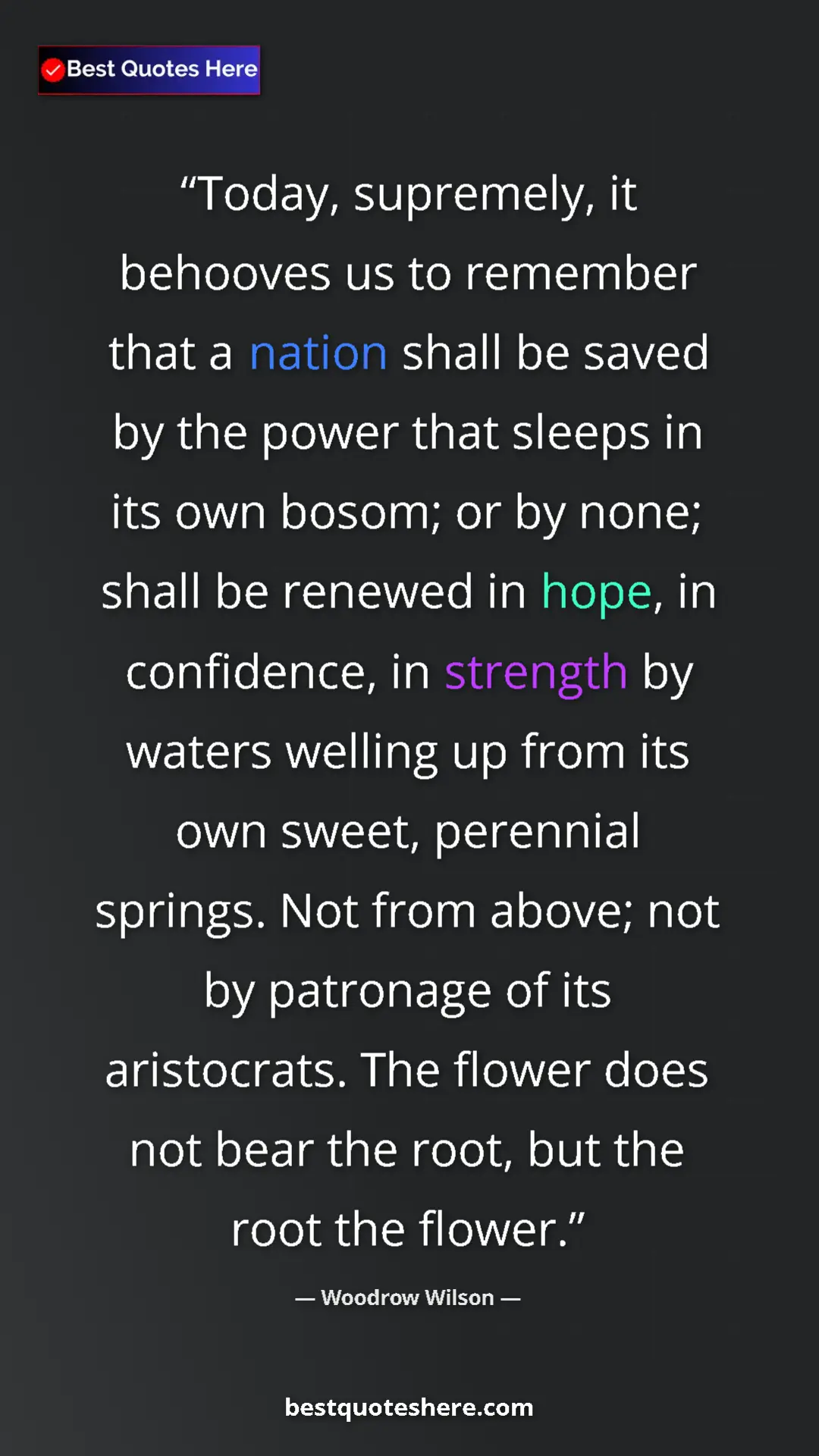Pinterest quote poster by Woodrow Wilson: "Today, supremely, it behooves us to remember that a nation..."