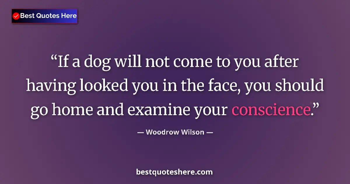 Quote by Woodrow Wilson: If a dog will not come to you after having looked you in the face, you should go home and examine yo...
