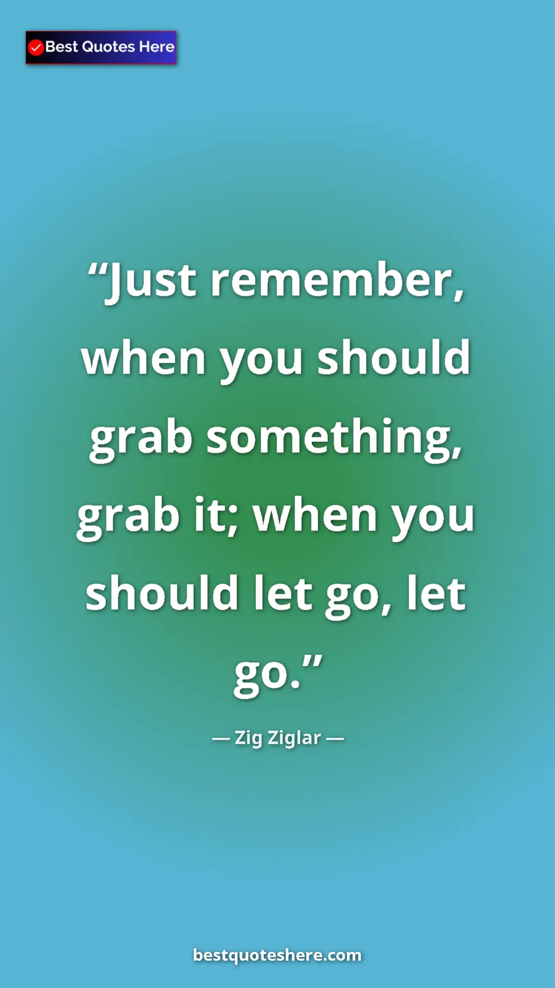 Pinterest quote poster by Zig Ziglar: "Just remember, when you should grab something, grab it;..."
