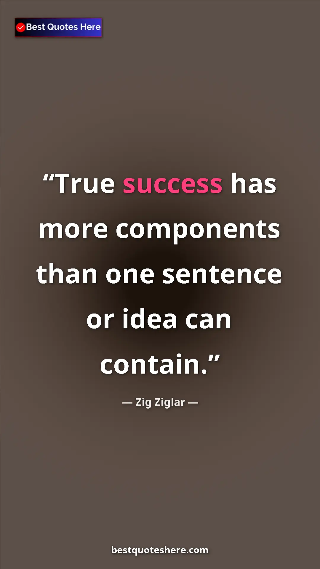 Pinterest quote poster by Zig Ziglar: "True success has more components than one sentence or idea..."