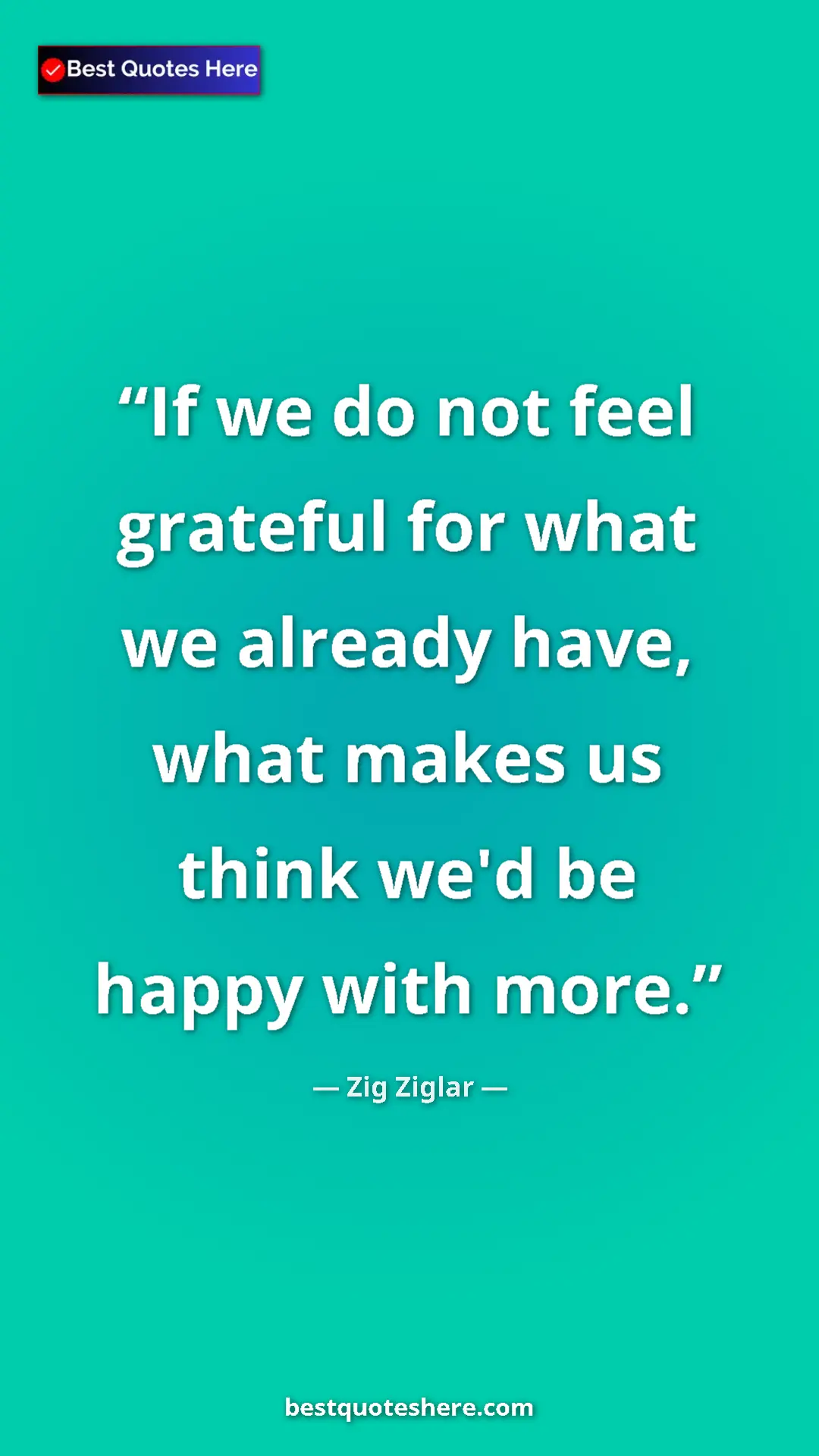 Pinterest quote poster by Zig Ziglar: "If we do not feel grateful for what we already have, what..."