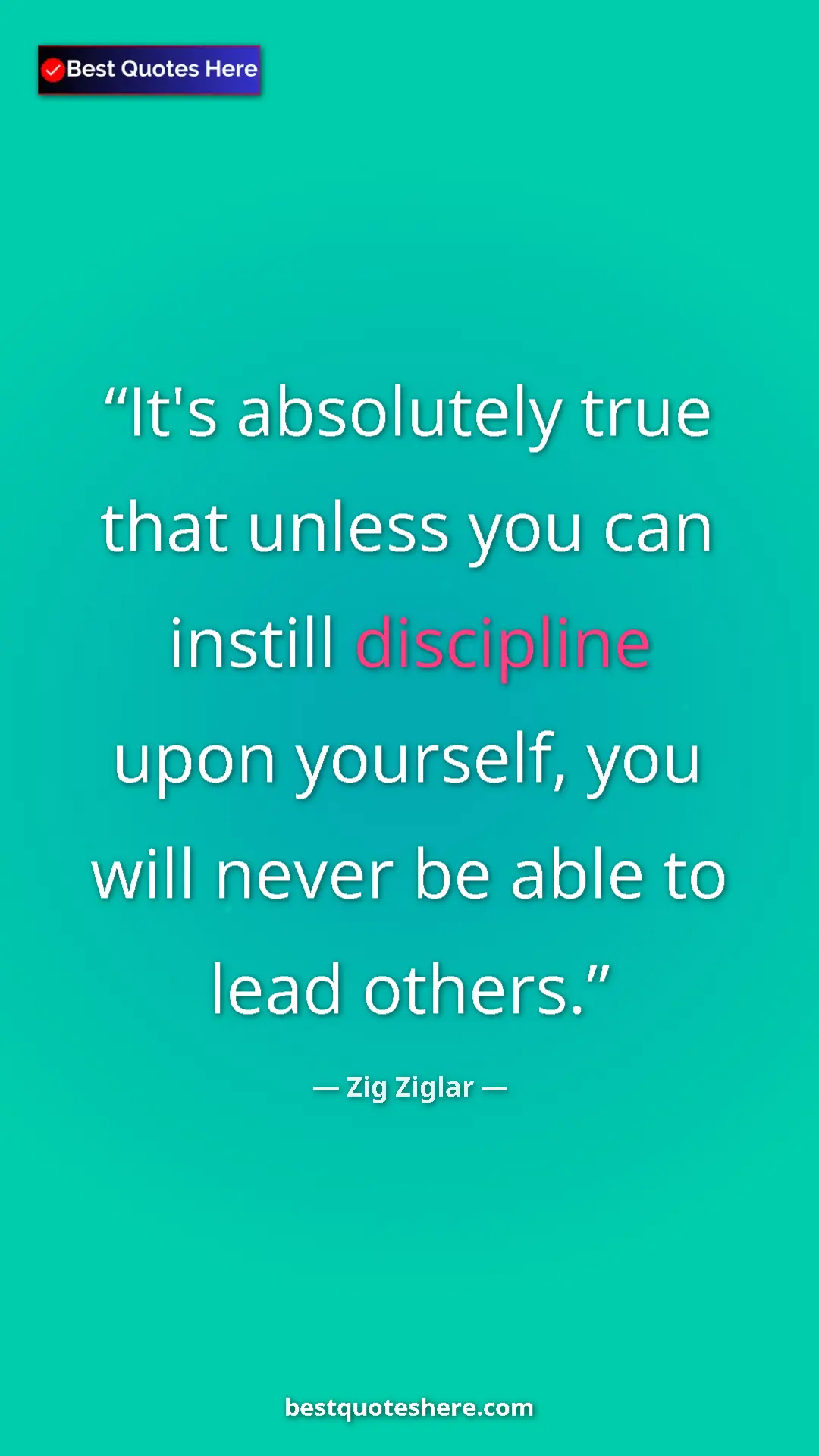 Pinterest quote poster by Zig Ziglar: "It's absolutely true that unless you can instill discipline..."