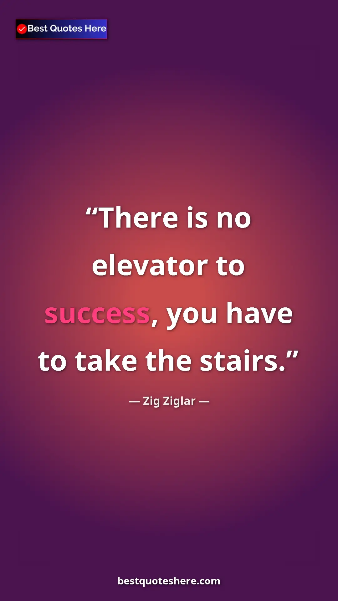 Pinterest quote poster by Zig Ziglar: "There is no elevator to success, you have to take the..."