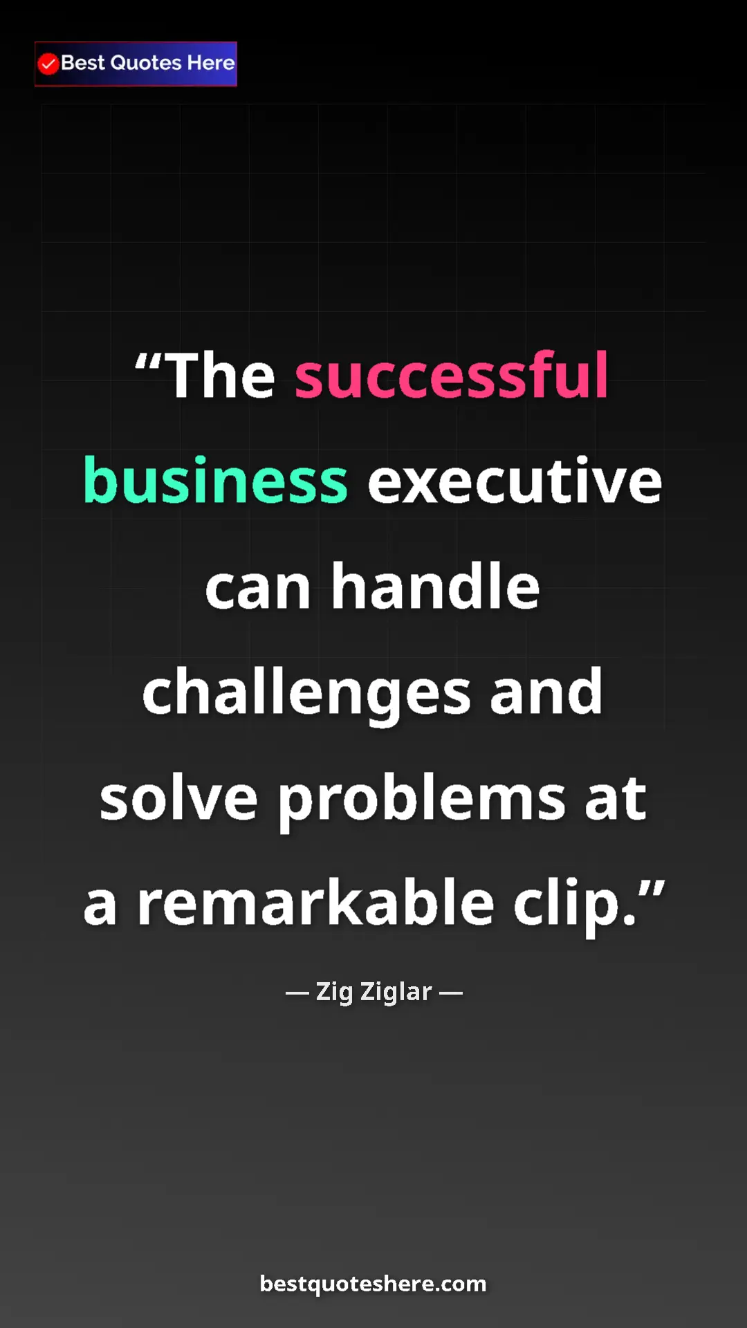Pinterest quote poster by Zig Ziglar: "The successful business executive can handle challenges and..."