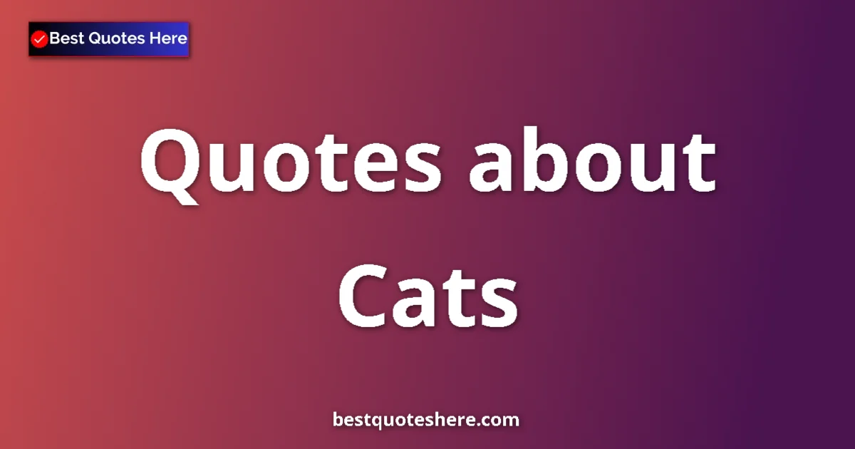 Cats quotes and sayings collection