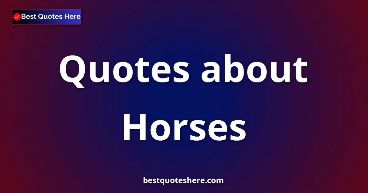 Horses quotes and sayings collection