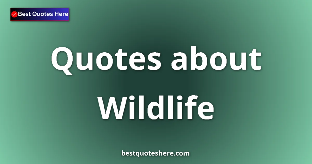 Wildlife Quotes & Wisdom Wildlife quotes and sayings collection